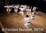 Mezinárodní folklorní festival Folklor bez hranic
